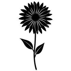 Gaillardia Black Vector Silhouette