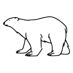 polar bear vector illustration