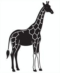 Obraz premium Giraffe black silhouette