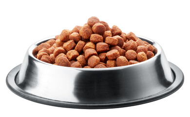 bowl of dog food