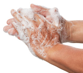 wash hands