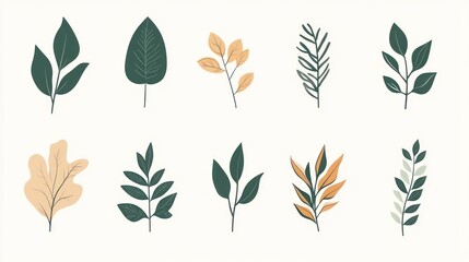 Autumn leaves collection, design elements, white background, invitation