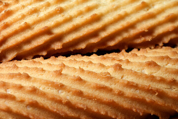 Deliciously baked treats showcasing golden, textured surfaces