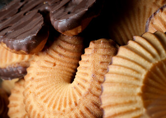 Delightful assortment of chocolate and vanilla cookies in focus