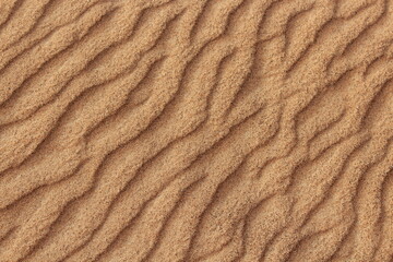 Golden Sand Dunes Stretching Across the Arabian Desert