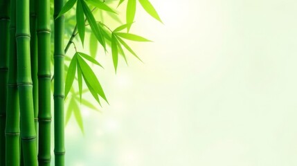 Serene Bamboo Forest Scene Lush Green Stalks and Vibrant Foliage Against a Soft, Light Background
