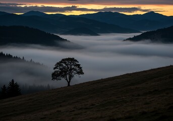 Obraz premium Solitary Tree Misty Mountain Valley Sunrise. AI Generated