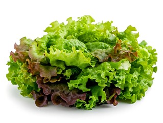 Fresh Mixed Greens Salad Isolated.