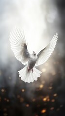 Obraz premium A dove flying animal motion bird.