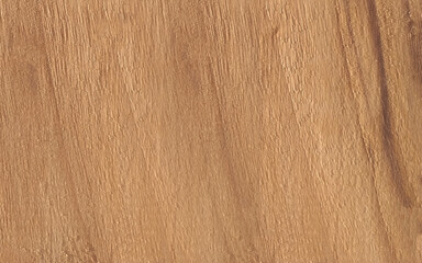 Brown Wood Panel Texture - Natural Wood for Interior Design.