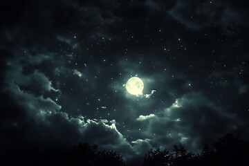 A puzzling and celestial image of a moonless sky where plush shadow is softly brushed by faint shine of starry beams  
