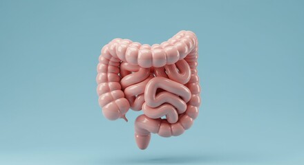 Stylized 3D Model Of Pink Intestine On Light Blue Background