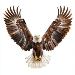 Obraz premium Majestic Eagle Spreading Its Wings in Captivating Wildlife Moment