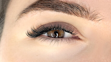 Obraz premium Close up of eye with eyelash extensions ,beauty salon treatment ,2d volume