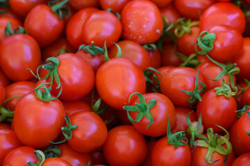 Fresh red tomatoes gathered together in a vibrant display at a local farmer's market during summer months