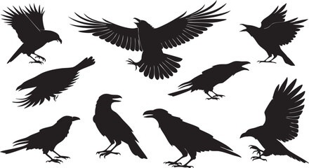 Obraz premium Collection of Crow and Raven Black Silhouettes with Open Wings and Standing Poses