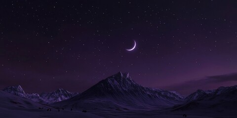 Fototapeta premium winter night landscape