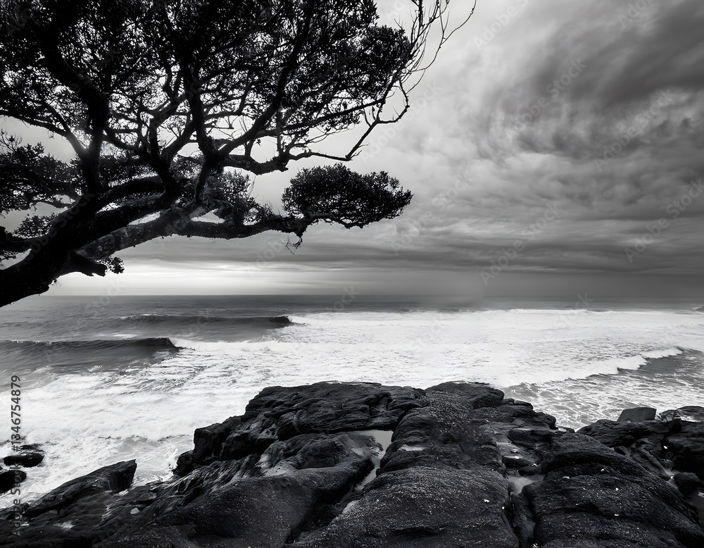 Poster tree branches frame a stormy ocean view with dark rocks and waves in black and white