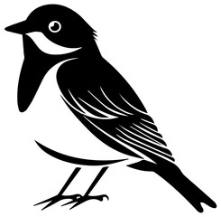 Bird vector illustration simple design