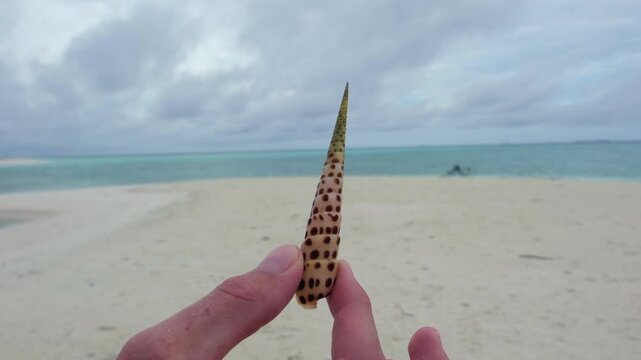 A person holds a long, spotted seashell against the backdrop of a Maldives sandbank. The turquoise ocean and cloudy sky contrast with the delicate details of the shell, showcasing nature beauty.