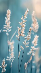 Ethereal wild grass silhouettes in dreamy blue and gold light