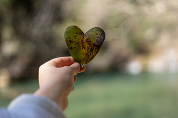 Heart-shaped leaf held in hand near a tranquil riverside in nature during daylight