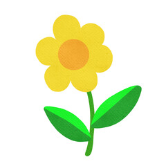 yellow flower on white background