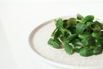 Sunflower fresh sprouts on a plate on a white background. Microgreens, Healthy eating, salad greens, detox, vegetarianism, vegetarian dishes.