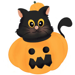 Halloween cat