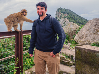 Barbary Macaque monkey reaching out a hand of friendship to a visitor on Gibraltar rock.