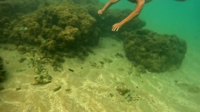 Chico haciendo snorkel en el mar, Praia do Forte, Bah&iacute;a, Brasil