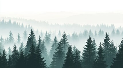 Fototapeta premium Misty Conifer Forest Landscape with Mountain Morning Fog.