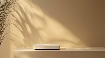 Minimalist design of a white box on a simple surface with soft shadows and a plant in the background