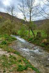 Tranquil Spring River Landscape With Lush Greenery, Overcast Sky, Rolling Hillside, Rugged Tree Trunk, Serene Atmosphere.