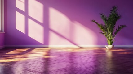 Sunlight streaming through a window creates serene shadows on a purple wall and hardwood floor featu a solitary potted palm plant in white pot