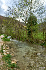 Serene Natural Landscape with Gently Flowing River, Lush Green Canopy, Rolling Hillside, Overcast Sky, Early Spring Atmosphere. Tranquil Spring River Landscape With Lush Greenery, Overcast Sky