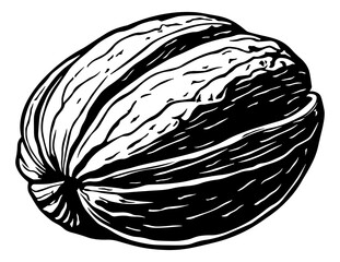walnut black and white illustration without background