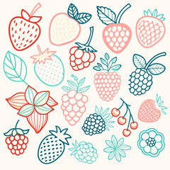 Colorful hand-drawn berries and flowers on a light background  