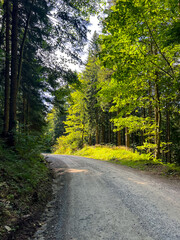 Obraz premium View of a rural mountain road among tree-covered slopes in autumn