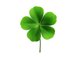 A vibrant four-leaf clover symbolizing luck and fortune, a charming emblem of hope and dreams against a clean white background.