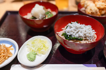 Bowl of cold soba noodles with fresh shirasu fish, accompanied by condiments like wasabi and scallions. The dish is part of a Japanese dining set with various side dishes
