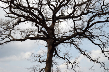 Gyeongju Wolseong Palace Site, South korea