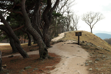 Gyeongju Wolseong Palace Site, South korea