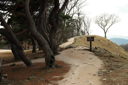 Gyeongju Wolseong Palace Site, South korea