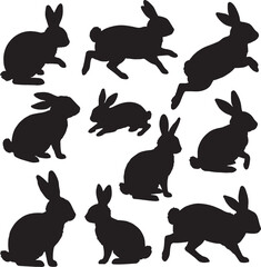 A vibrant red poppy blooms among a field of green