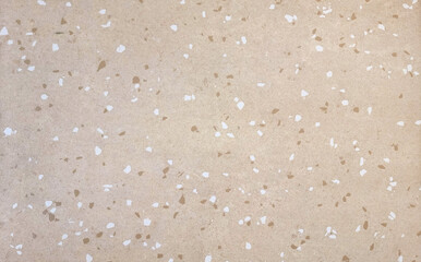 light beige terrazzo texture with scattered white and brown flecks, suitable for backgrounds or interior design applications, showcasing a neutral stone surface with a subtle, speckled pattern.
