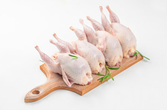 Fresh raw meat quails with herbs ready for cooking on a white background. Top view. space for text