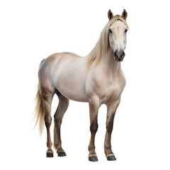 Obraz premium Equus Giganteus AI Generated Image