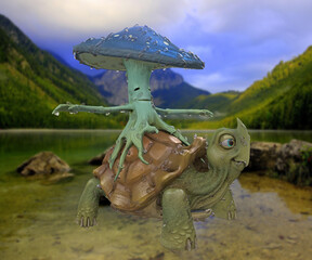 Wet Fungus on Turtles With Nice Nature Background