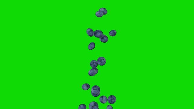 blueberry falling isolated green screen